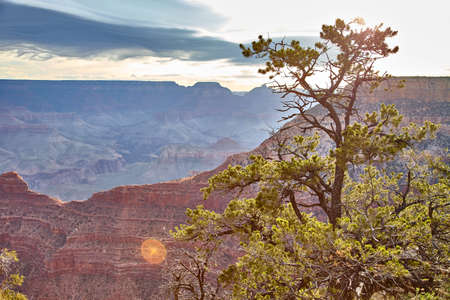 morning light sunrise at Grand Canyon, Arizona USAの写真素材