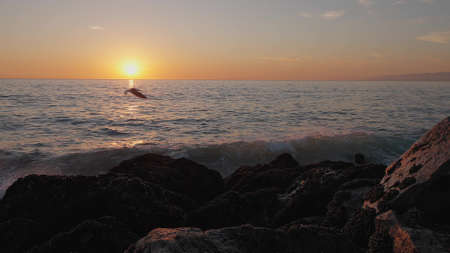 Dramatic ocean sunset. Burning sky and shining golden waves hit rocks. Sunset sea 4k. Seagulls are flying. Red sky, yellow sun and amazing sea. Summer sunset seascape. Slow motion.の写真素材