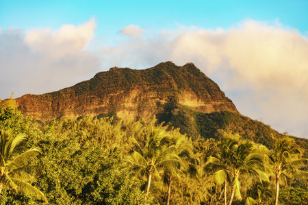 A mountain surrounded by trees, including palm treesの写真素材