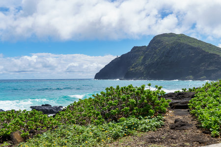 A serene view of a beach with a majestic mountain in the backgroundの写真素材