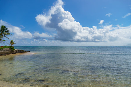 A scenic beach featuring palm trees, under a blue sky dotted with cloudsの写真素材