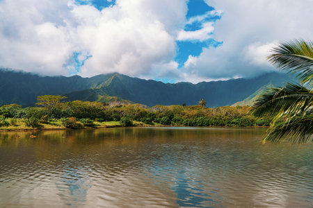 Lake, mountains in background, palm tree in foregroundの写真素材