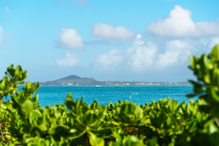 A scenic view of the ocean framed by a bush on a beautiful sunny day