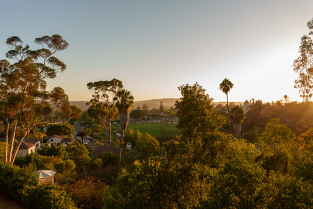 The beautiful sun is setting gently over a lush green forest area