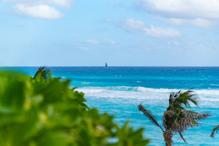 A Serene Ocean View Surrounded by Lush Tropical Foliage and a Sailboat in the Distanceの写真素材