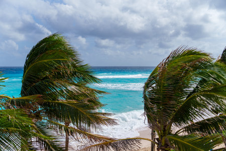 The palm trees are gently blowing in the warm wind on the beachの写真素材