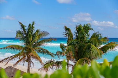 A beautiful Tropical Paradise featuring tall Palm Trees alongside the stunning Azure Ocean Waves