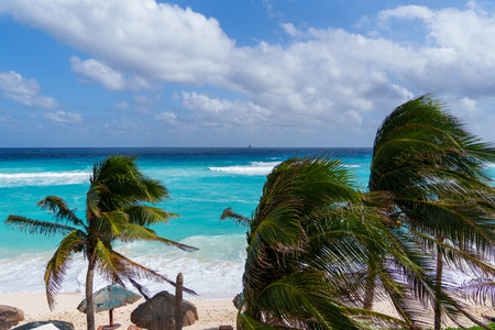 Palm trees gracefully swaying in the gentle wind on a beautiful beach