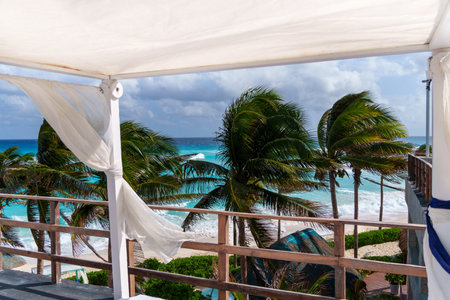 Experience a Tropical Paradise Featuring Beautiful Palm Trees and a Breathtaking Ocean Viewの写真素材