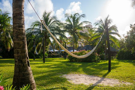 Experience the serene and blissful feeling of a hammock set in a tropical paradiseの写真素材