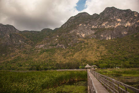 National Park in Thailandの写真素材