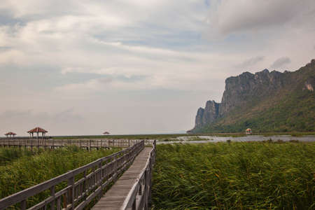 National Park in Thailandの写真素材