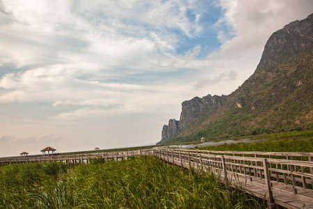 National Park in Thailandの写真素材