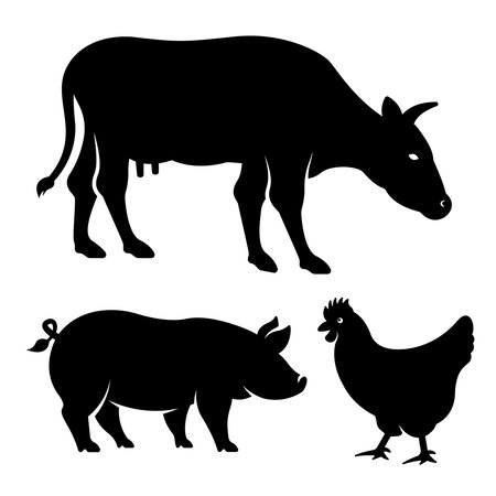 Silhouettes of animals, set of vector black objects - cow, pig, chicken isolated on white backgroundのイラスト素材