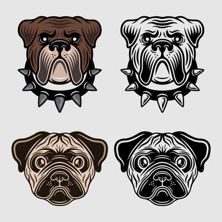 Dog heads characters set of vector objects in two styles colored and black and white. Animals collection, pug dog and bulldog muzzlesのイラスト素材