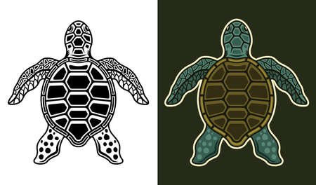 Sea turtle vector illustration in two styles black on white and colored on dark background