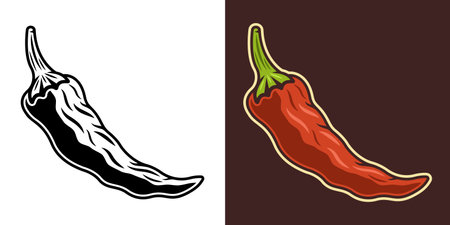 Chili pepper vector illustration in two styles black on white and colorful on dark backgroundのイラスト素材