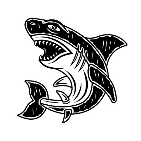Shark vector monochrome illustration in vintage style isolated on white backgroundのイラスト素材