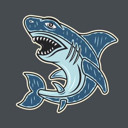 Shark vector colored illustration isolated on dark backgroundのイラスト素材