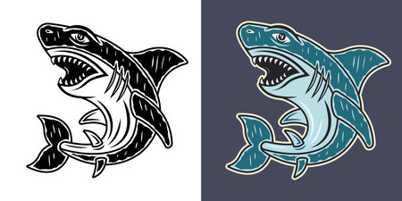 Shark in two styles monochrome on white and colorful on grey background vector illustrationのイラスト素材