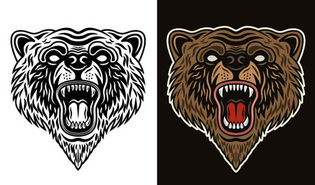 Bear snout with open roaring mouth vector illustration in two styles black on white and colorful on dark backgroundのイラスト素材