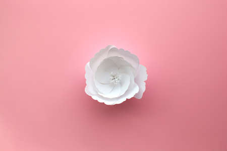 Handmade paper art and cut white flower on pink background. 