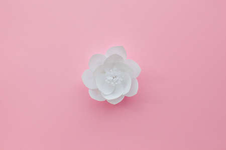 Handmade paper art and cut white flower on pink background.の写真素材