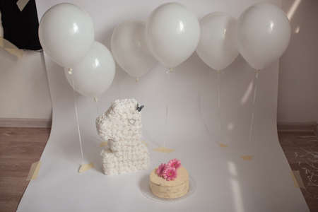 One year birthday decoration. Photoshoot with cake and ballon. In white color.の写真素材