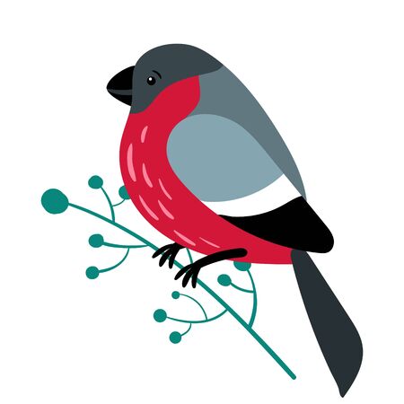 Cute bullfinch sitting on a branch isolated on a white background. Vector illustration.のイラスト素材