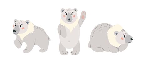 Set of cute cartoon polar bear. Arctic white bears isolated on white background.のイラスト素材