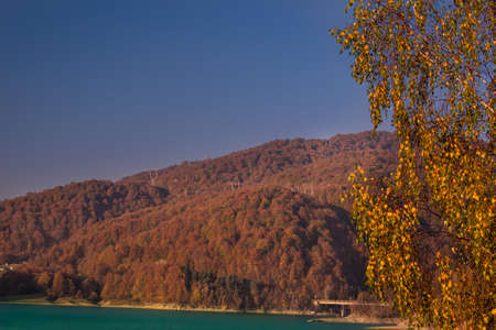 Beautiful view through the trees of a lake surrounded by forests, in a sunny day in autumnの写真素材