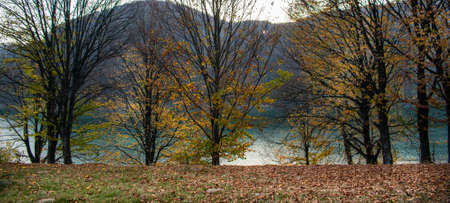 Beautiful view through the trees of a lake surrounded by forests, in a sunny day in autumn