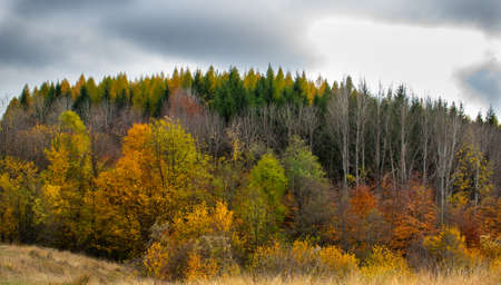 Beautiful sky and clouds over a forest on top of a hill near a small village, with autumn colored trees and autumn colorsの写真素材