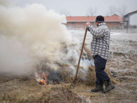 Winter activities at the farmの写真素材