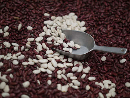 Red beans mixed with white onesの写真素材