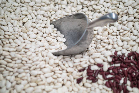 Scooping some white beanの写真素材