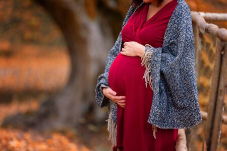 Close up of pregnant woman belly in autumn at the forest. Gravid woman wearing red dress and warm scarf. Pregnancy in fall season concept.の写真素材