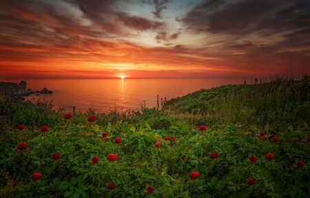 Magnificent spring sunrise with wild peonies at National Archeological Rezerve Yailata, near Kamen bryag, Bulgariaの写真素材