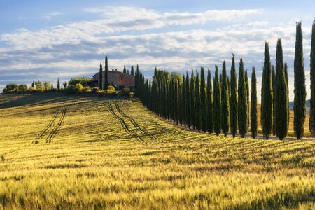 Magnificent spring landscape.Beautiful view of typical tuscan farm house, green wave hills, cypresses trees, hay bales, olive trees, beautiful golden fields and meadows.Tuscany, Italy, Europeの写真素材