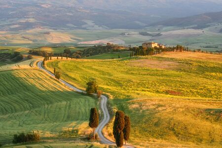 Magnificent rural landscape at sunset. Stunning view of typical tuscan farm house, green wave hills, cypresses trees, beautiful golden fields and meadows.Tuscany, Italy, Europeの写真素材