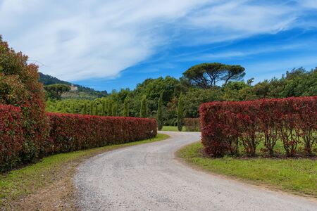 Magnificent spring landscape.Beautiful view of typical tuscan farm house, green wave hills, cypresses trees, hay bales, olive trees, beautiful golden fields and meadows.Tuscany, Italy, Europeの写真素材