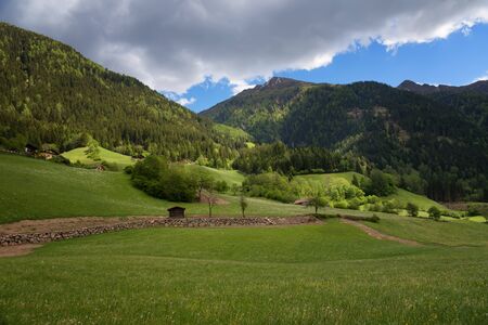 Idyllic landscape in the Alps in springtime with traditional mountain chalet and fresh green mountain pastures with blooming flowers on a beautiful sunny day. Austria, Europe.の写真素材