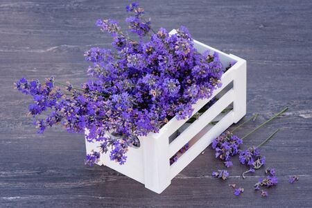 Fresh lavender in white basket on grey wooden background.の写真素材