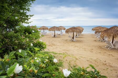 Summer vacation destination. Straw umbrellas and sunbeds on the empty pebble beach with sea in the background. Vacation And Tourism Concept. Sunbeds On The Paradise Beach. Summer in Bulgaria.の写真素材