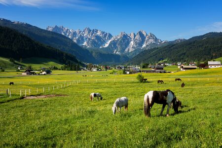Colorful outdoor scene in the Austrian Alps. Summer sunny day in the Gosau village on the Grosse Bischofsmutze mountain range, Austria, Europe.の写真素材