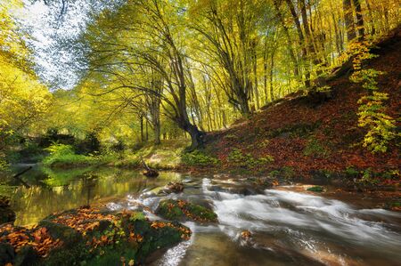 Dokuzak waterfall in Strandja mountain, Bulgaria during autumn. Beautiful view of a river with an waterfall in the forest. Magnificent autumn landscape.の写真素材