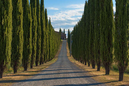 Magnificent spring landscape.Beautiful view of typical tuscan farm house, green wave hills, cypresses trees, hay bales, olive trees, beautiful golden fields and meadows.Tuscany, Italy, Europeの写真素材