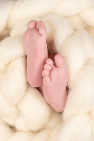 Bare feet of a cute newborn baby in warm white blanket. Childhood. Small bare feet of a little baby girl or boy. Sleeping newborn child.の写真素材