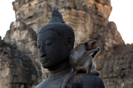 Monkeys with buddha in Prang Sam Yod, Lopburi, Thailand.