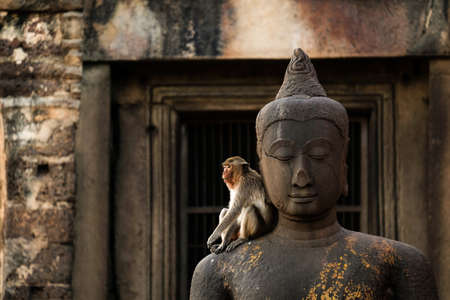 Monkey with buddha in Prang Sam Yod, Lopburi, Thailand.の写真素材